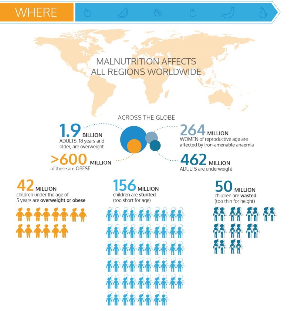 Sumber: https://www.who.int/nutrition/double-burden-malnutrition/infographics/en/